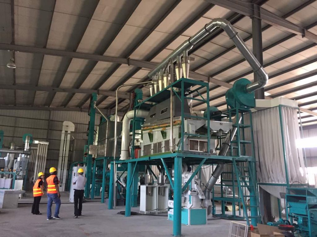 100T maize flour mill installed in China factory – maize mill wheat ...